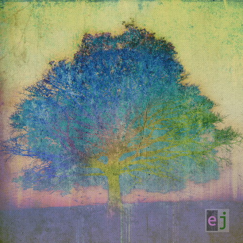 Eric Johnson: EJ  \ CD