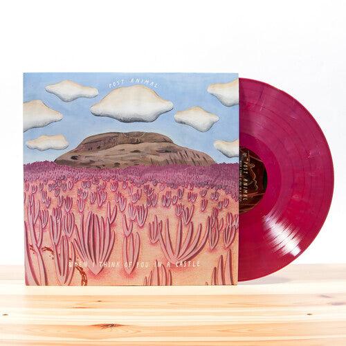 Post Animal- When I Think Of You In A Castle ( - VINYL