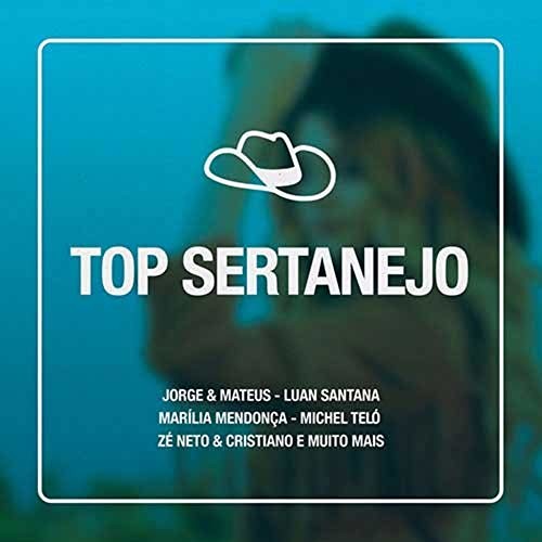 Various Artists: Top Sertanejo / Various  \ CD