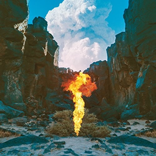 Bonobo: Migration \ LP