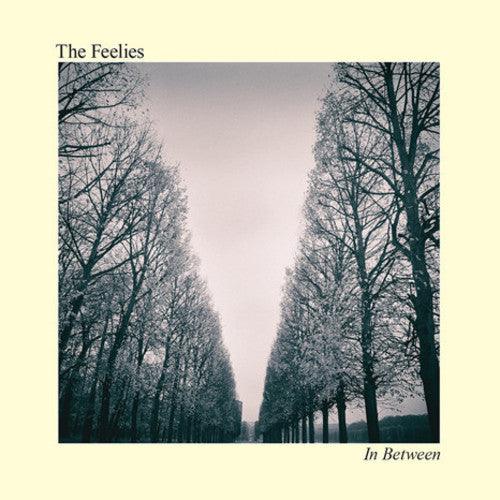 The Feelies- In Between - VINYL