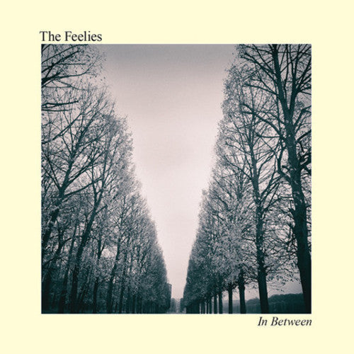The Feelies: In Between - VINYL