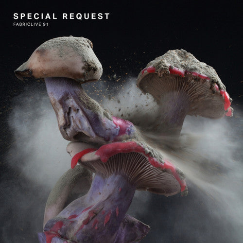 Special Request: Fabriclive 91  \ CD