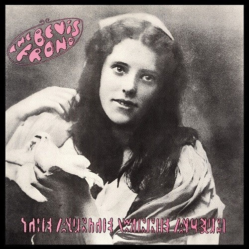 The Bevis Frond- The Auntie Winnie Album - VINYL