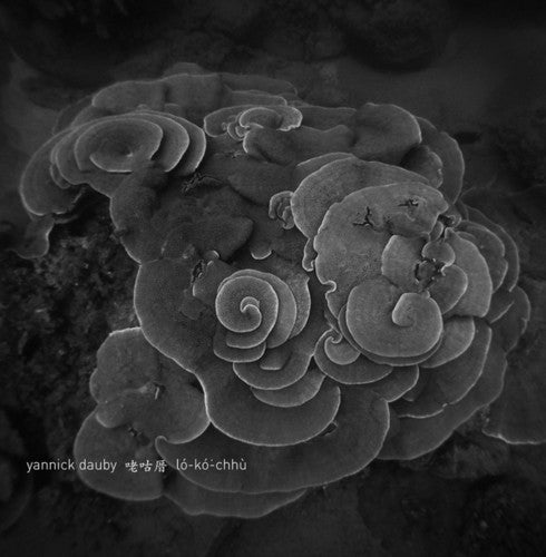 Yannick Dauby: Penghu Experimental Sound Studio 2 \ LP