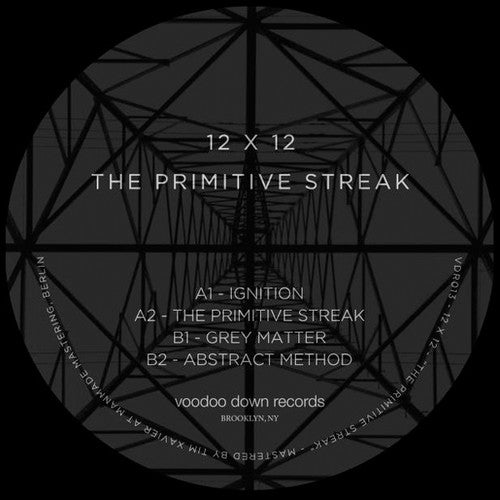 12 X 12: The Primitive Streak \ LP