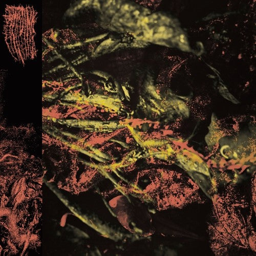 Hissing- Permanent Destitution - VINYL