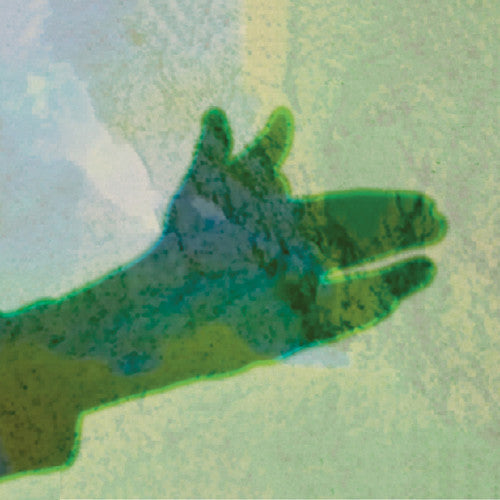 Native Instrument: Camo \ LP