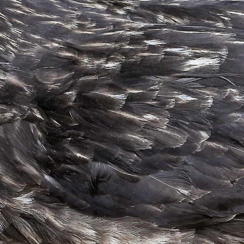 Árstíðir: Arstidir  \ CD