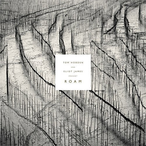Tom Hobden: Present: Roam \ LP