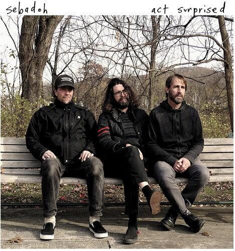 Sebadoh- Act Surprised - VINYL