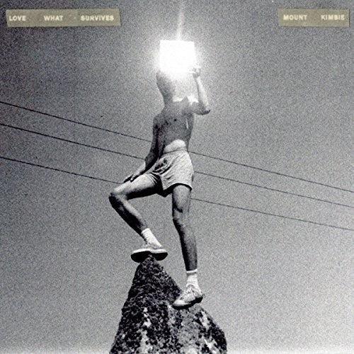 Mount Kimbie- Love What Survives - VINYL