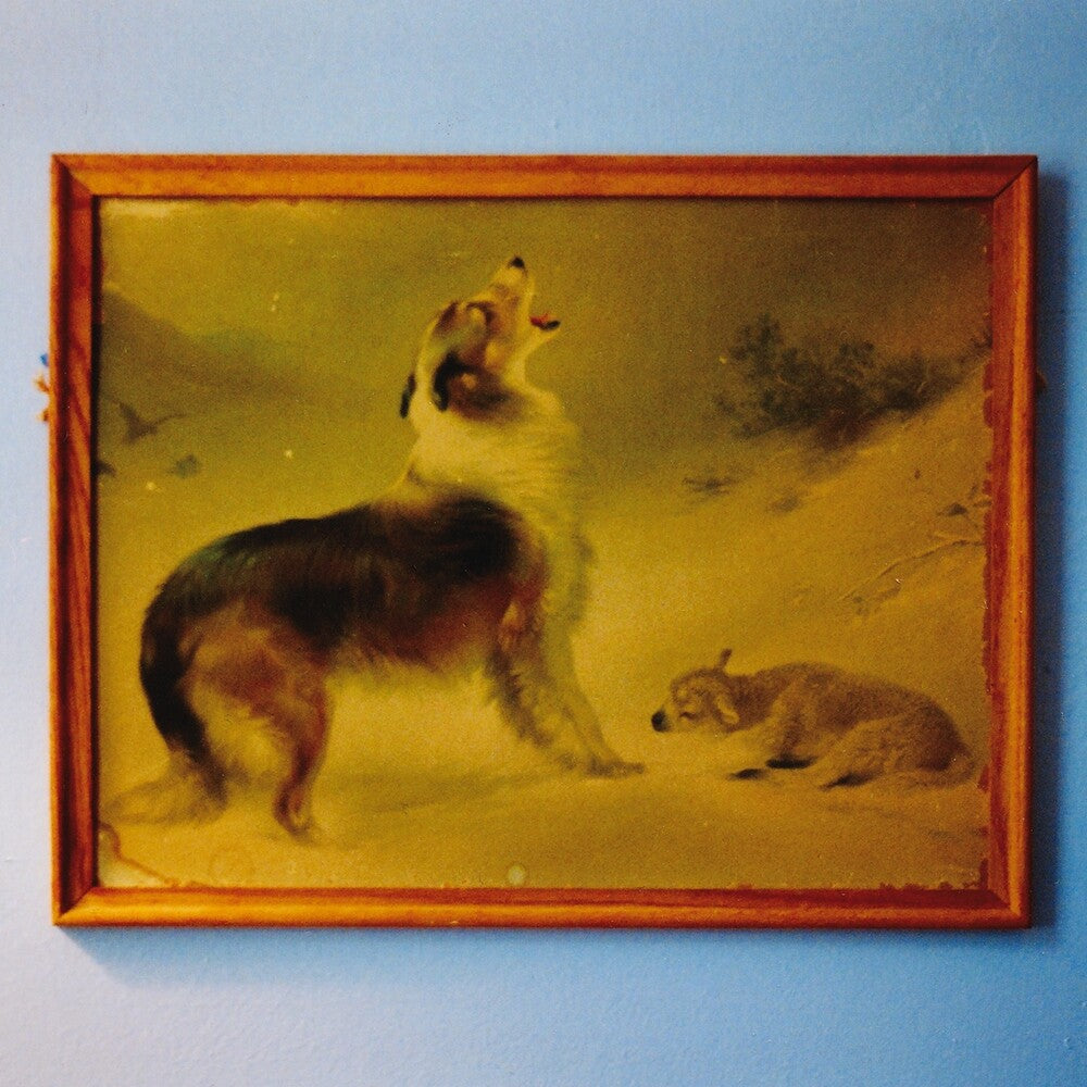 Explosions In The Sky- Rescue (Org) - VINYL