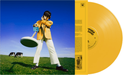 Declan McKenna- What Happened To The Beach? (Indie Exclusive Vinyl) - VINYL
