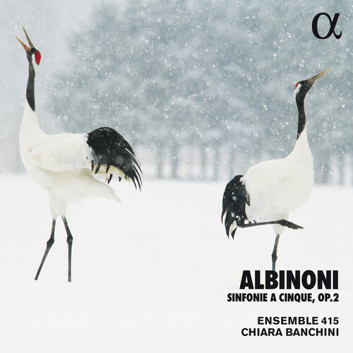 Albinoni / Banchini / Ensemble 415: Sinfonie a Cinque 2  \ CD