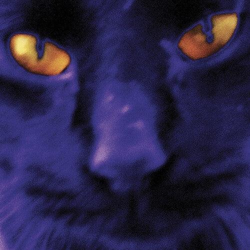 David Kilgour and the Heavy Eights- Bobbie's A Girl - VINYL
