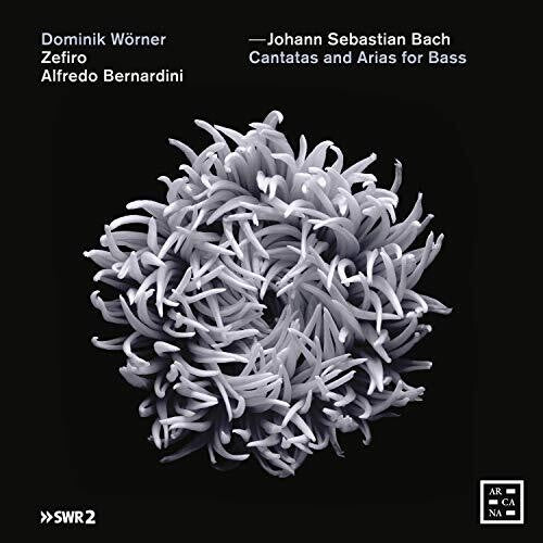 Bach, J.S. / Bernardini / Worner: Cantatas & Arias for Bass  \ CD