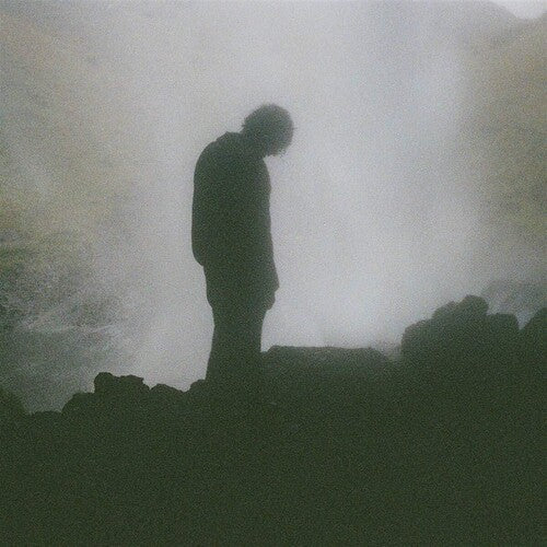 Palmistry: Afterlife \ LP