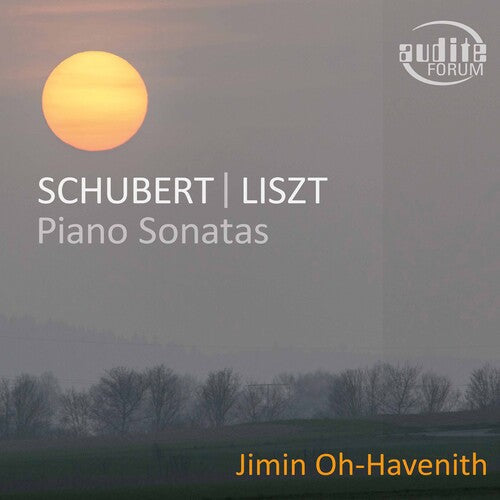 Liszt / Oh-Havenith: Piano Sonatas  \ CD