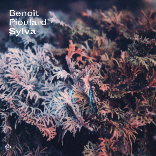 Benoit Pioulard: Sylva \ LP