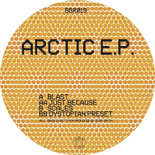 Secret Static: Arctic \ LP