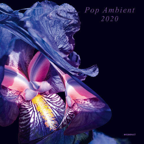 Various Artists: Pop Ambient 2020 (Various Artists) \ LP
