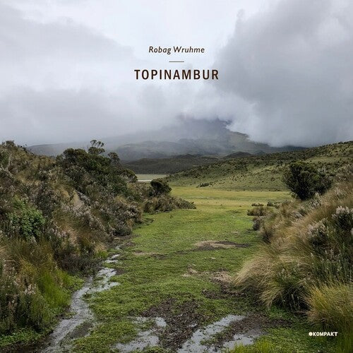Robag Wruhme: Topinambur \ LP
