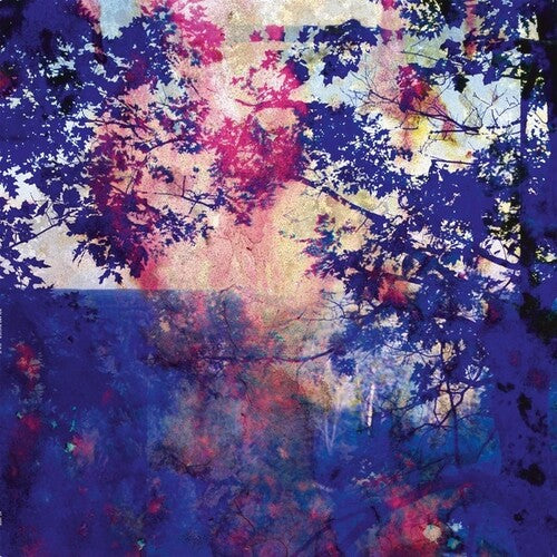 Roland Bucher: Viaje \ LP