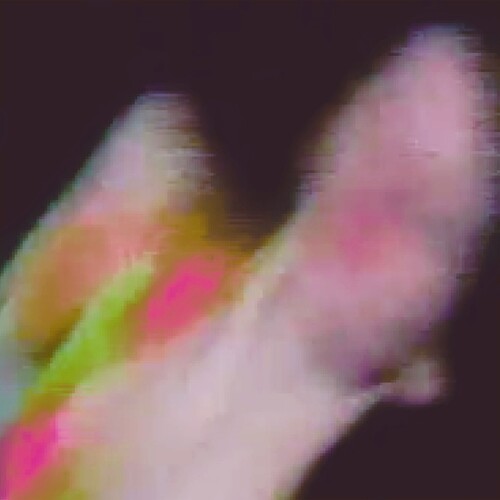 Function: Existenz \ LP