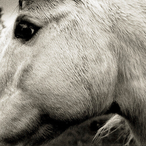 Bonny Light Horseman: Bonny Light Horseman \ LP