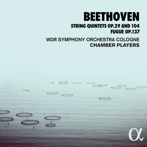 Wdr Sinfonieorchester Cologne Chamber Players: String Quintets 29 & 104  \ CD