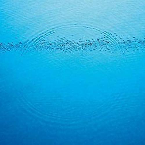 Caribou- Suddenly - VINYL