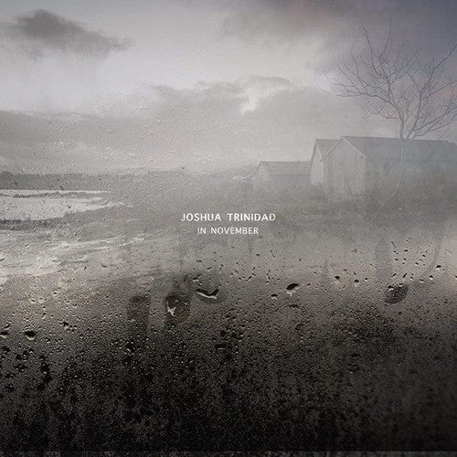 Joshua Trinidad- In November [180 Gram] - VINYL