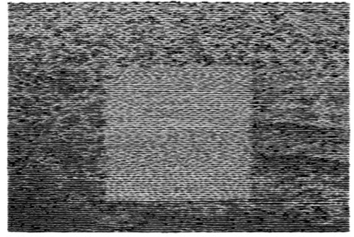 Grouper- Grid Of Points [LP] - VINYL
