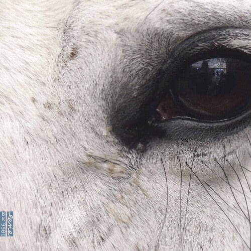 Various: Openings of the Eye  \ CD
