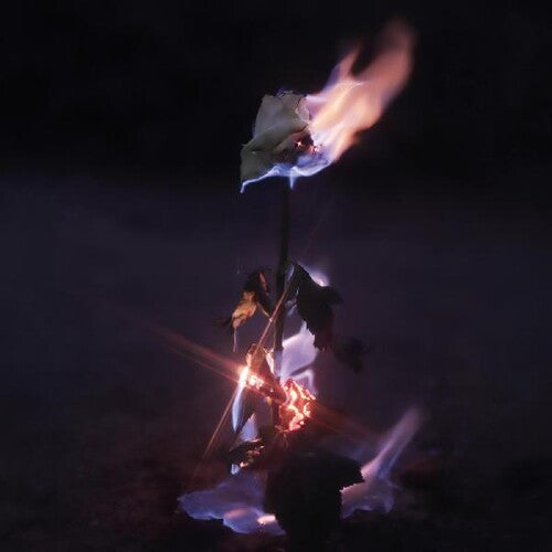 Farwarmth: Momentary Glow  \ CD