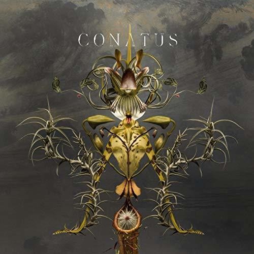 Joep Beving: Conatus  \ CD