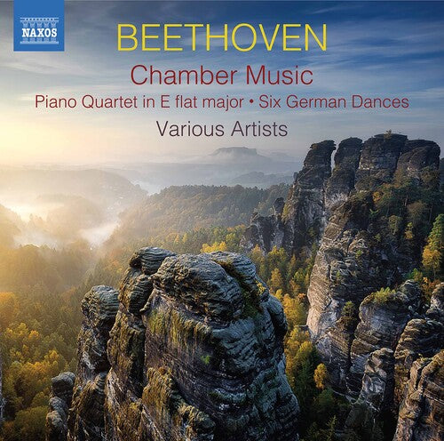 Various: Chamber Music  \ CD