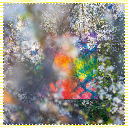 Four Tet: Sixteen Oceans \ LP