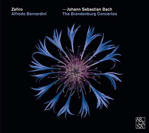 Bach, J.S. / Zefiro / Bernardini: Brandenburg Concertos  \ CD