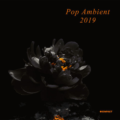 Various Artists: Pop Ambient 2019 (Various Artists) \ LP