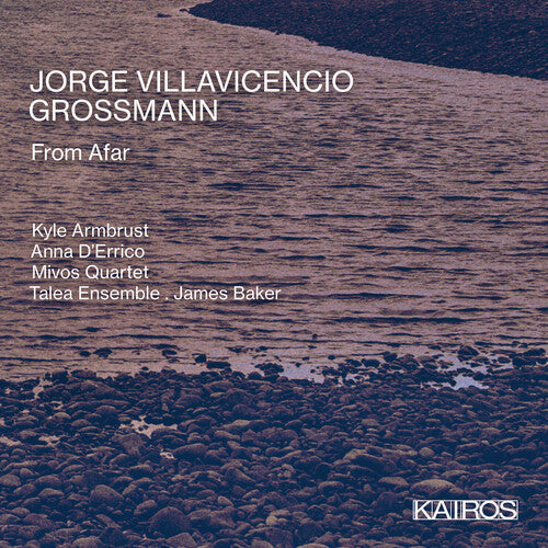 Various Artists: Jorge Villavicencio Grossmann: From Afar (Various Artists)  \ CD