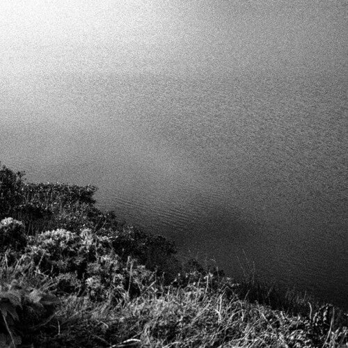 Fullman, Ellen & Wong, Theresa: Harbors \ LP