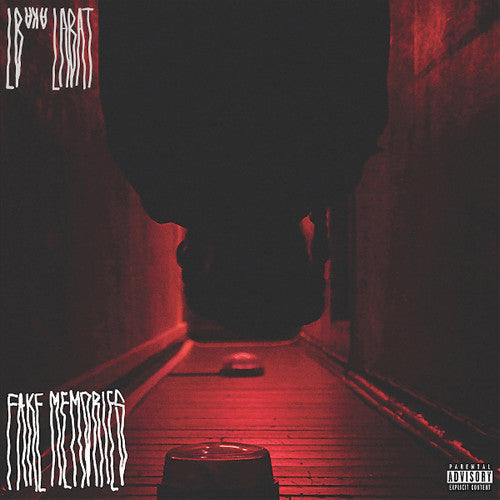 Lb Aka Labat: Fake Memories \ LP