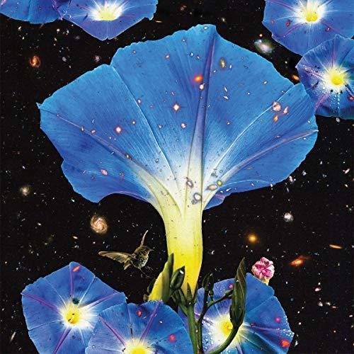 Sarah Louise: Nighttime Birds And Morning Stars \ LP