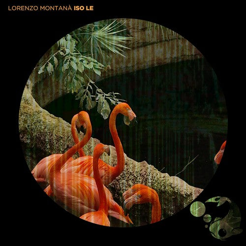 Lorenzo Montana: Iso Le  \ CD