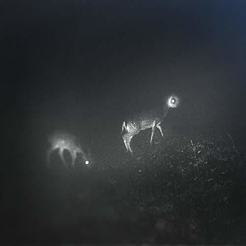 Bliss Signal- Bliss Signal [Limited Edition] - VINYL