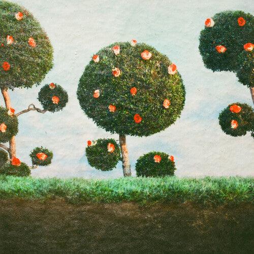 Midnight Sister- Painting the Roses - VINYL