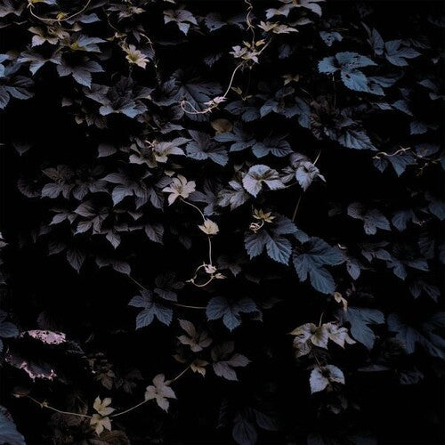 Michael Vallera: Vivid Flu  \ CD