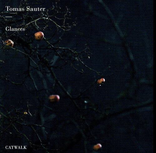 Sauter / Sauter: Glances  \ CD